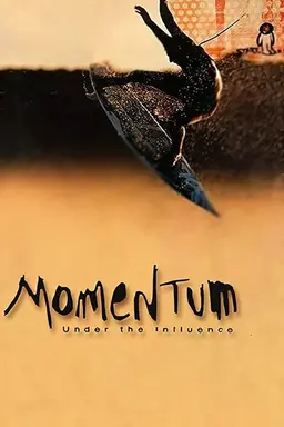 Momentum: Under the Influence