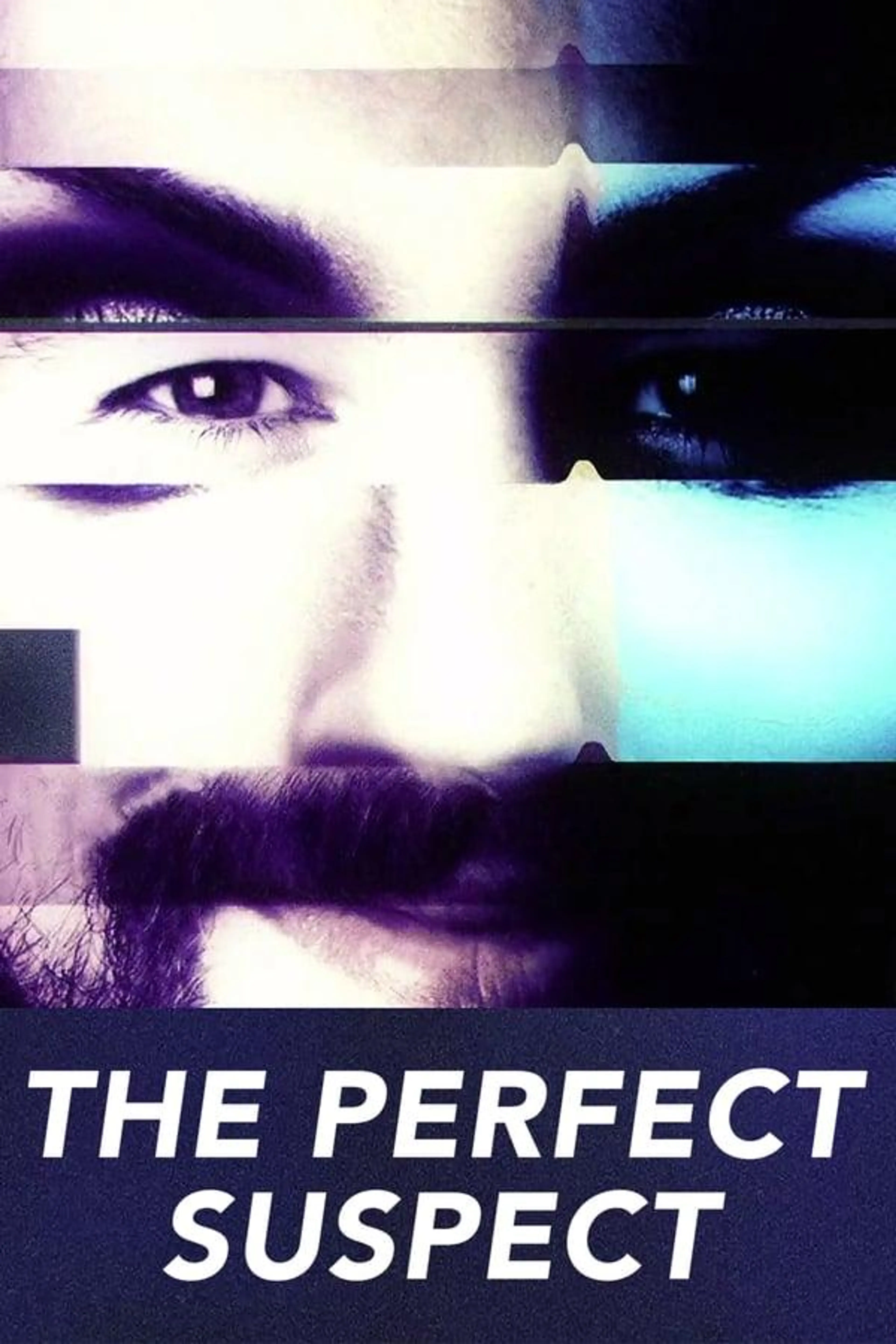 The Perfect Suspect Season 1