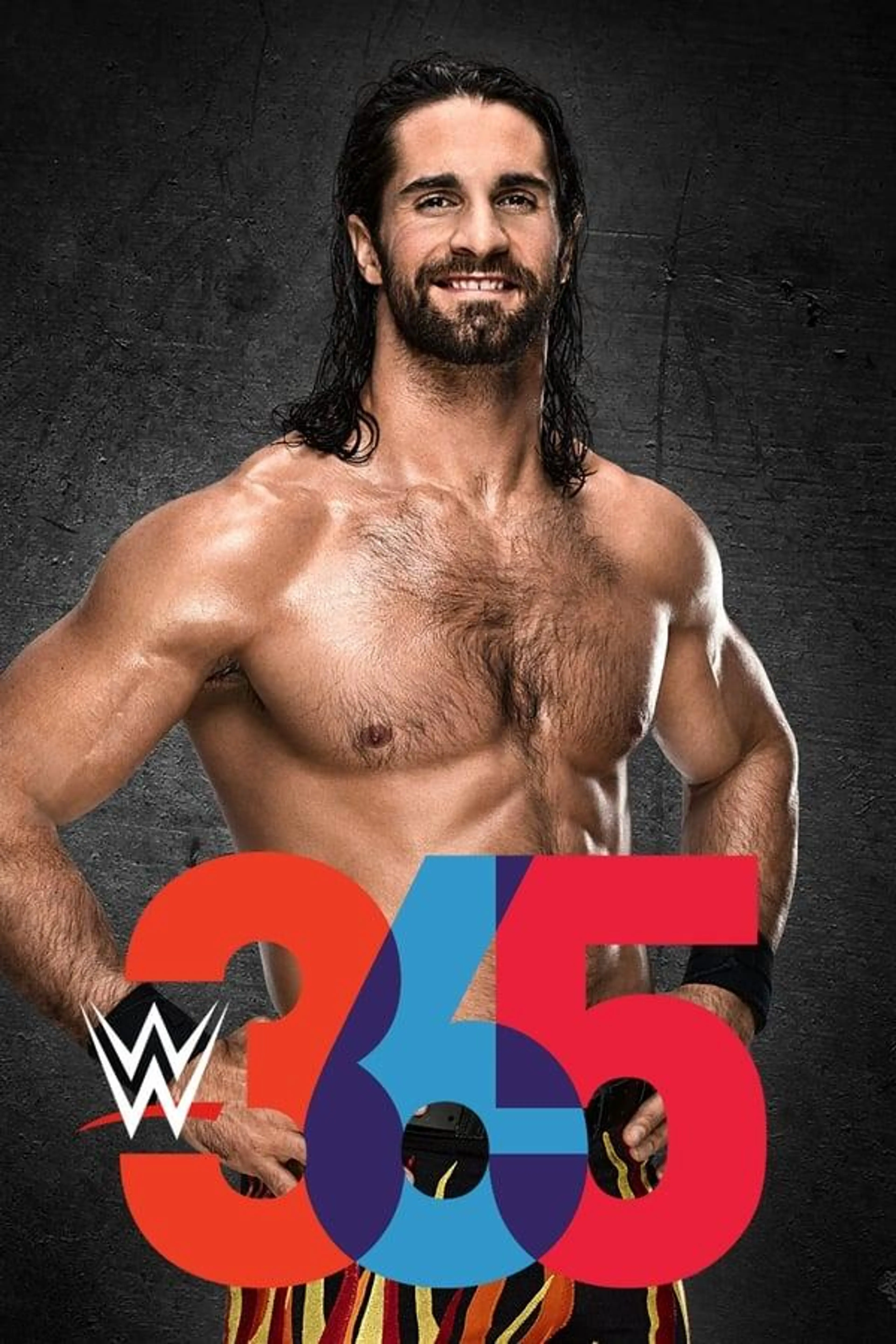 WWE 365 Miniseries