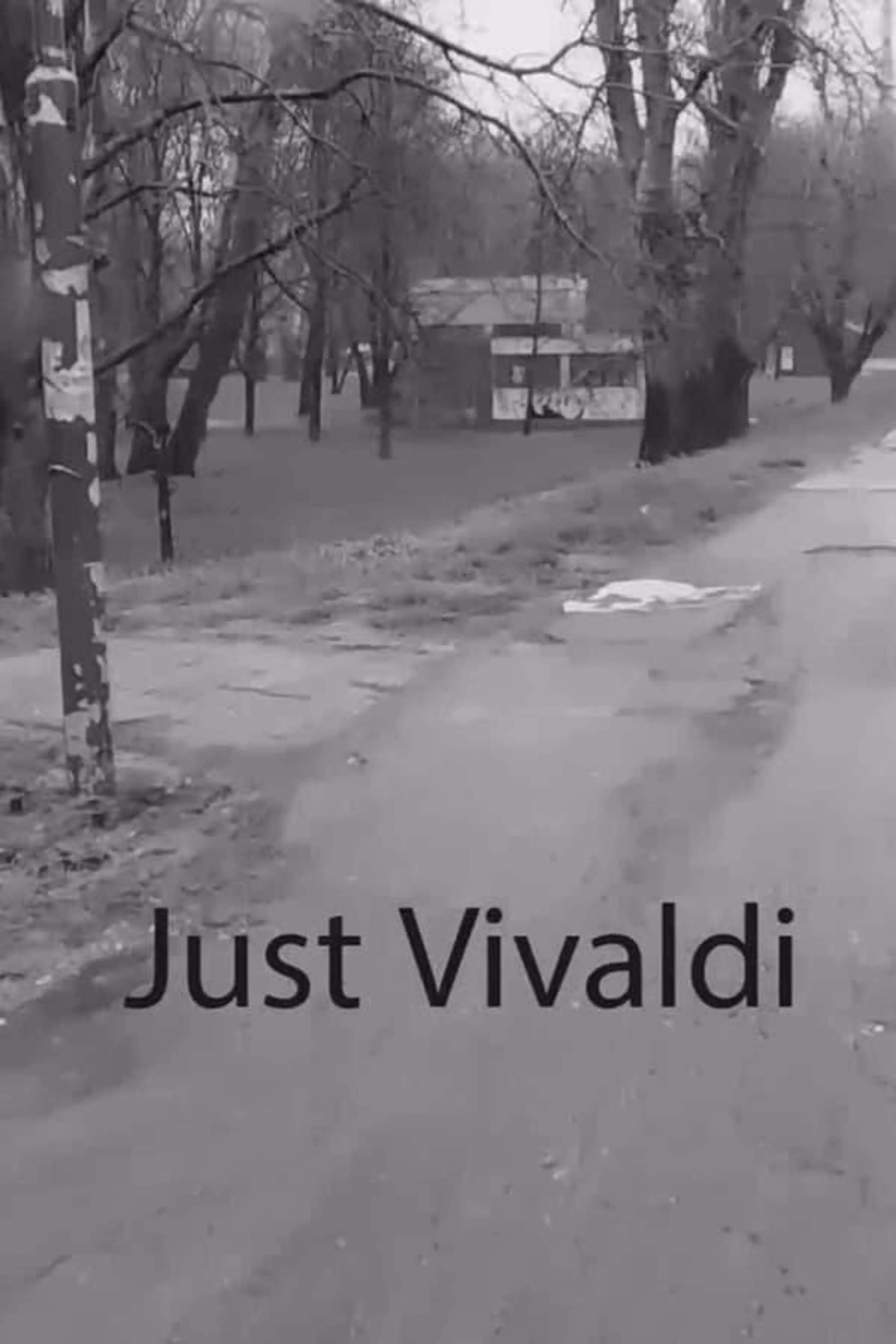 Just Vivaldi