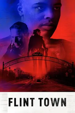 Flint Town Miniseries
