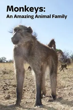 Monkeys: An Amazing Animal Family Season 1