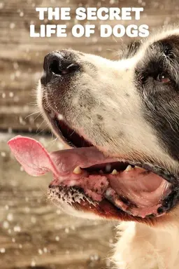 The Secret Life of Dogs Series 1