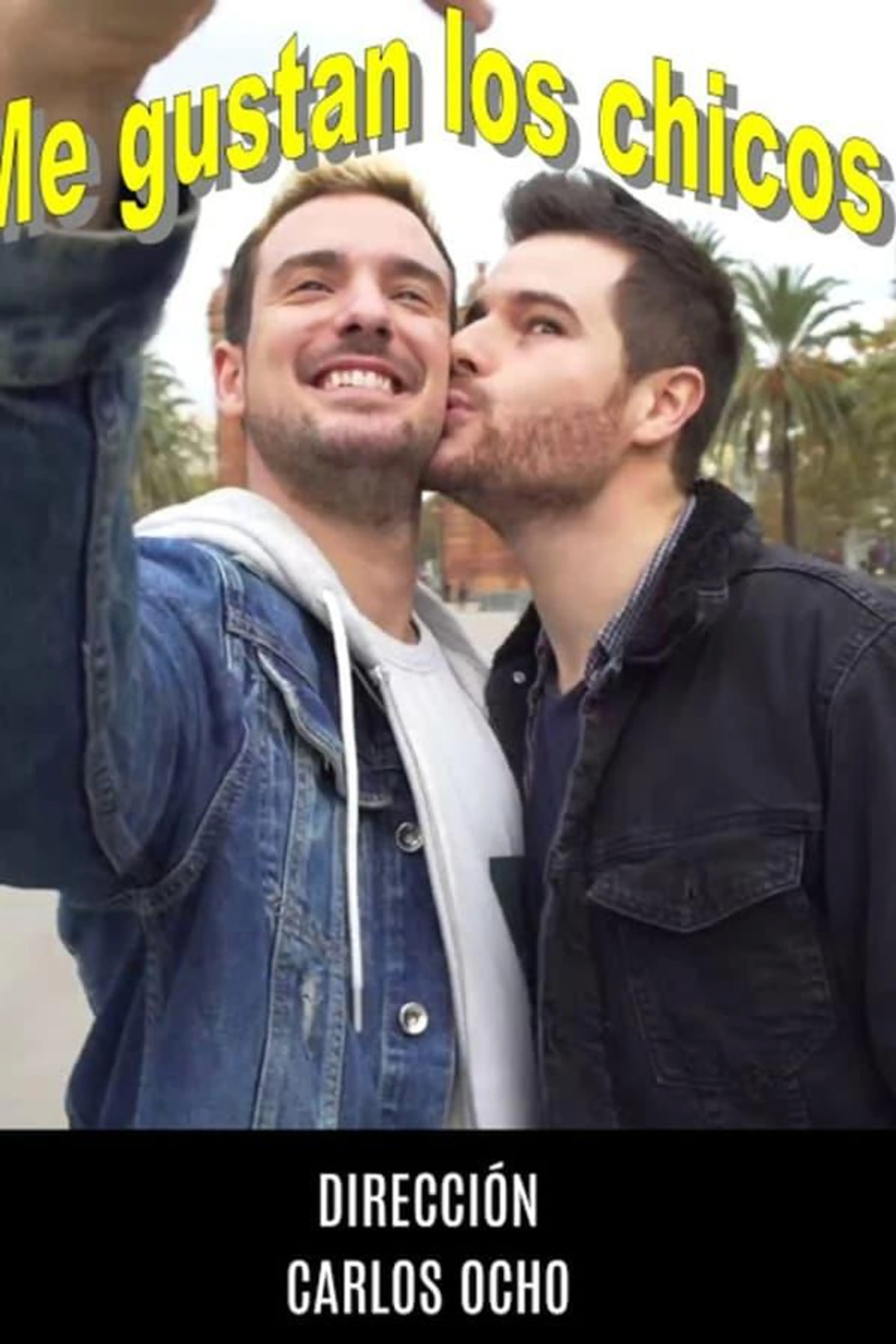 Me Gustan los Chicos