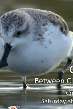 China: Between Clouds and Dreams Season 1