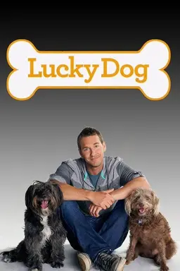 Lucky Dog Season 7