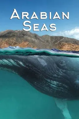 Arabian Seas Season 1