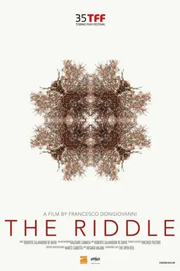 The Riddle