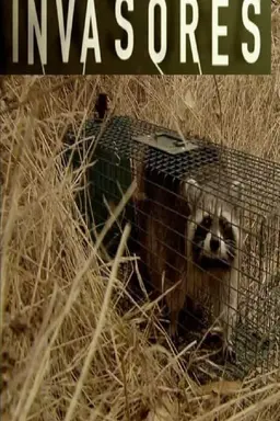 Invasores. Fauna invasora