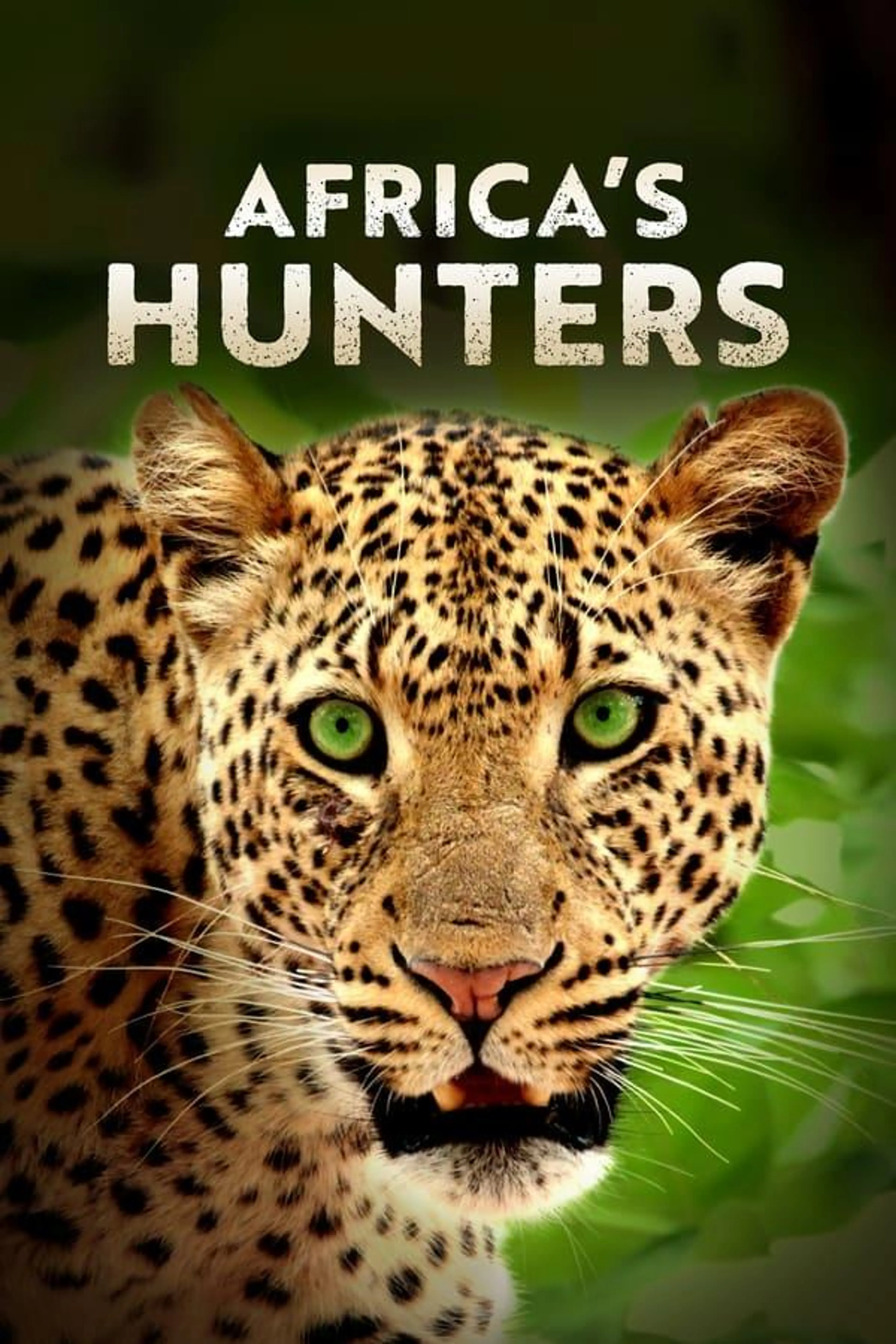 Africa's Hunters Season 3