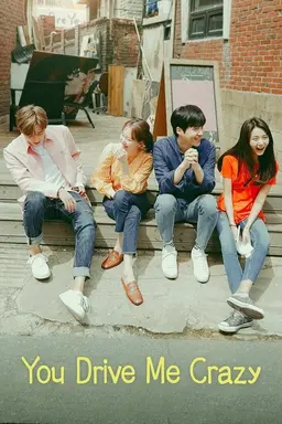 You Drive Me Crazy Season 1