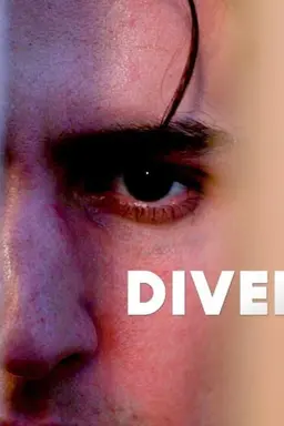 Diversion