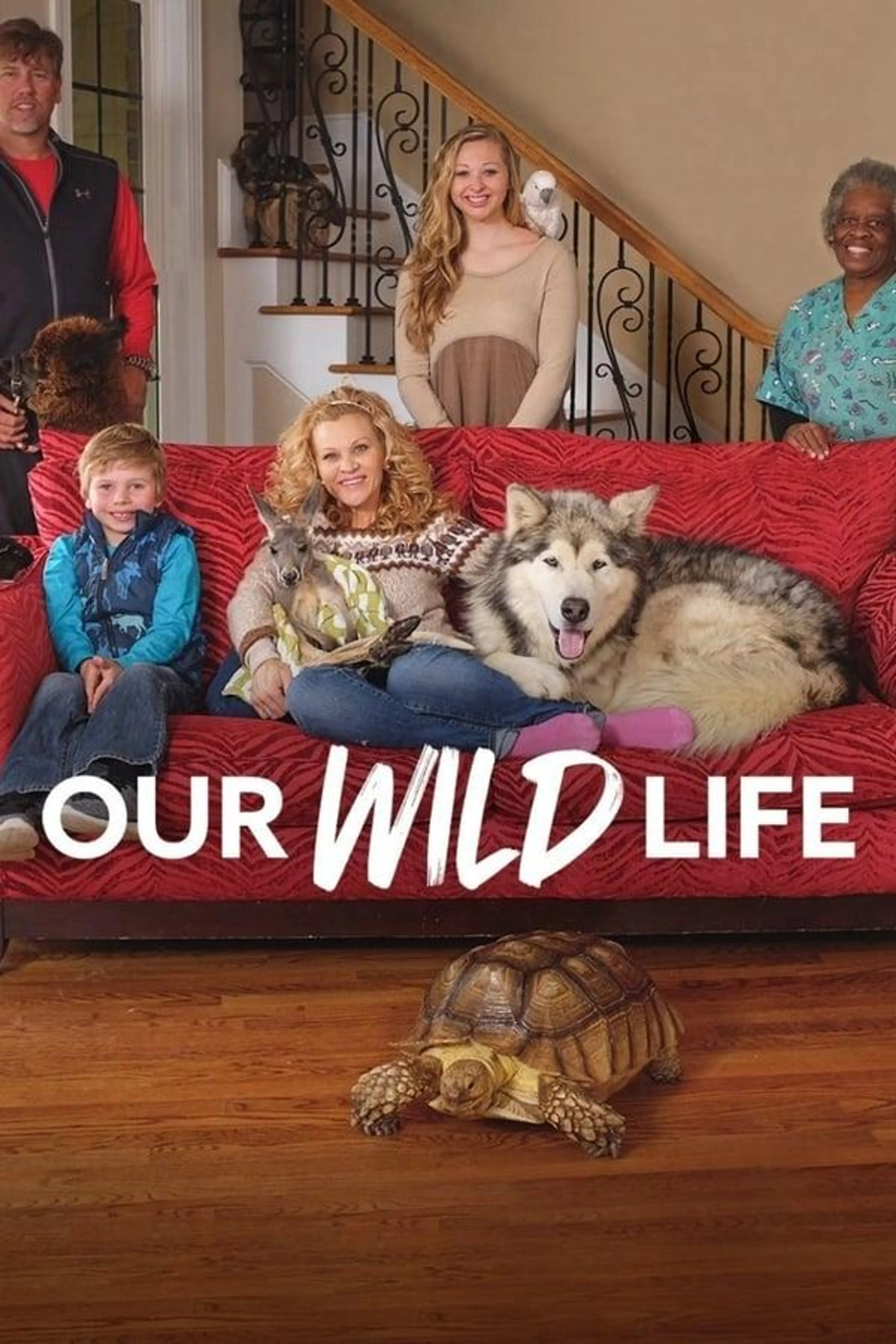 Our Wild Life Season 1