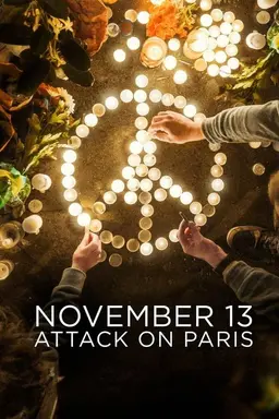 November 13: Attack on Paris Miniseries