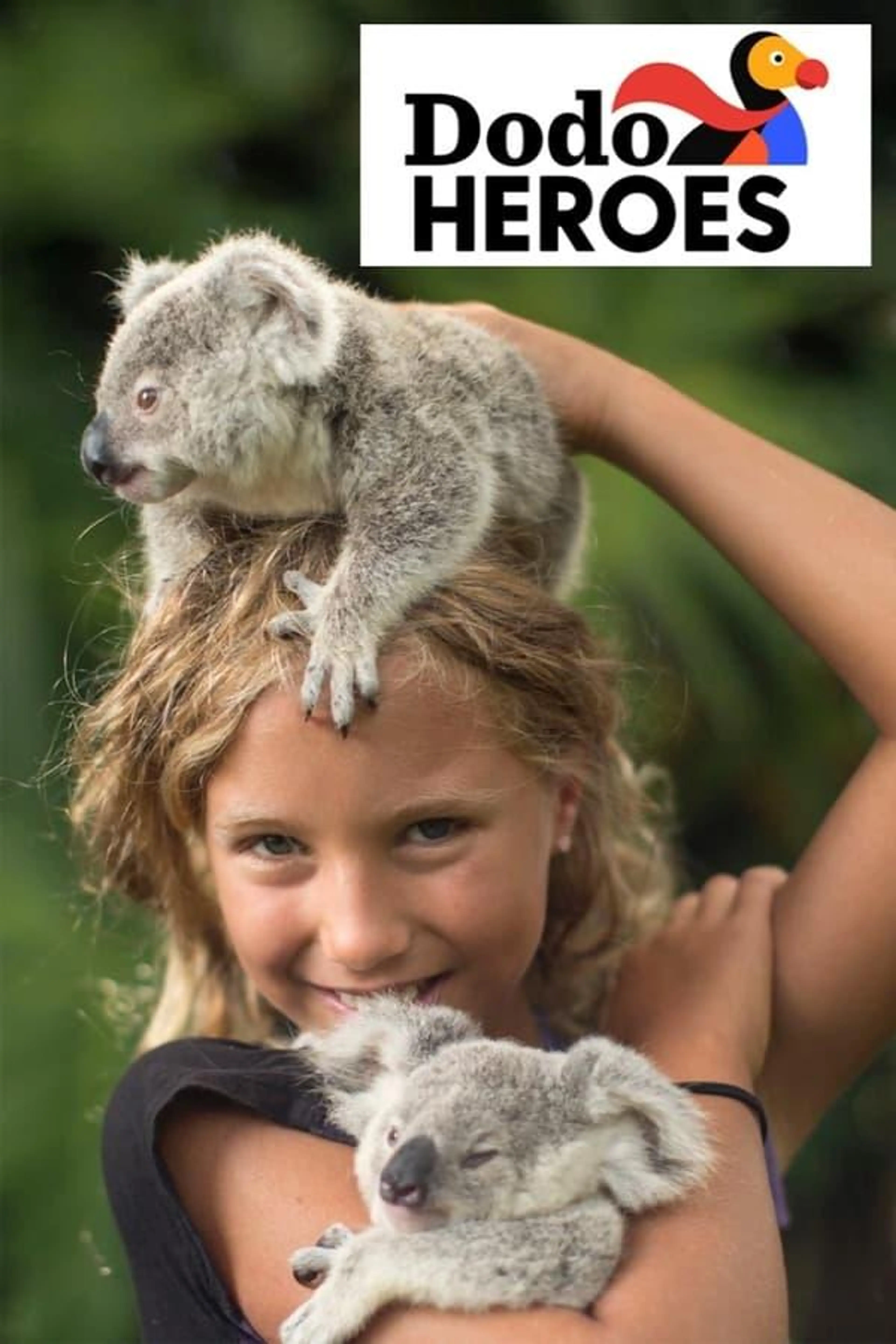 Dodo Heroes Season 2