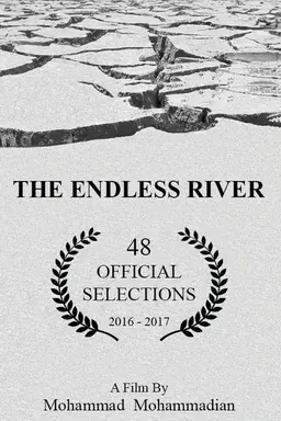 The Endless River