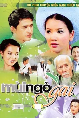 Scent of Coriander Season 2