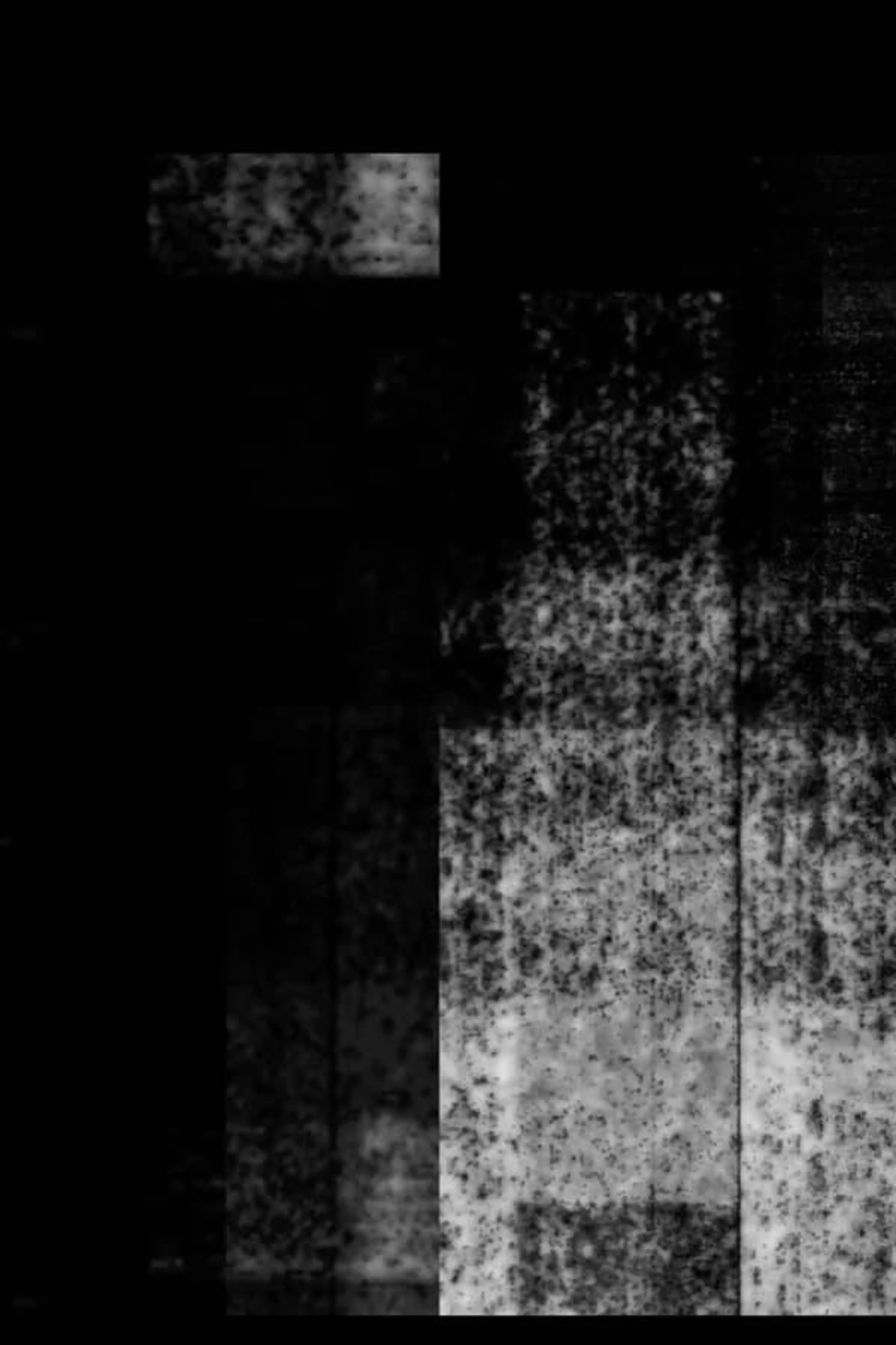Colours In Black & White I