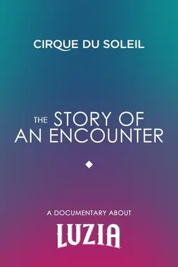 The Story Of An Encounter