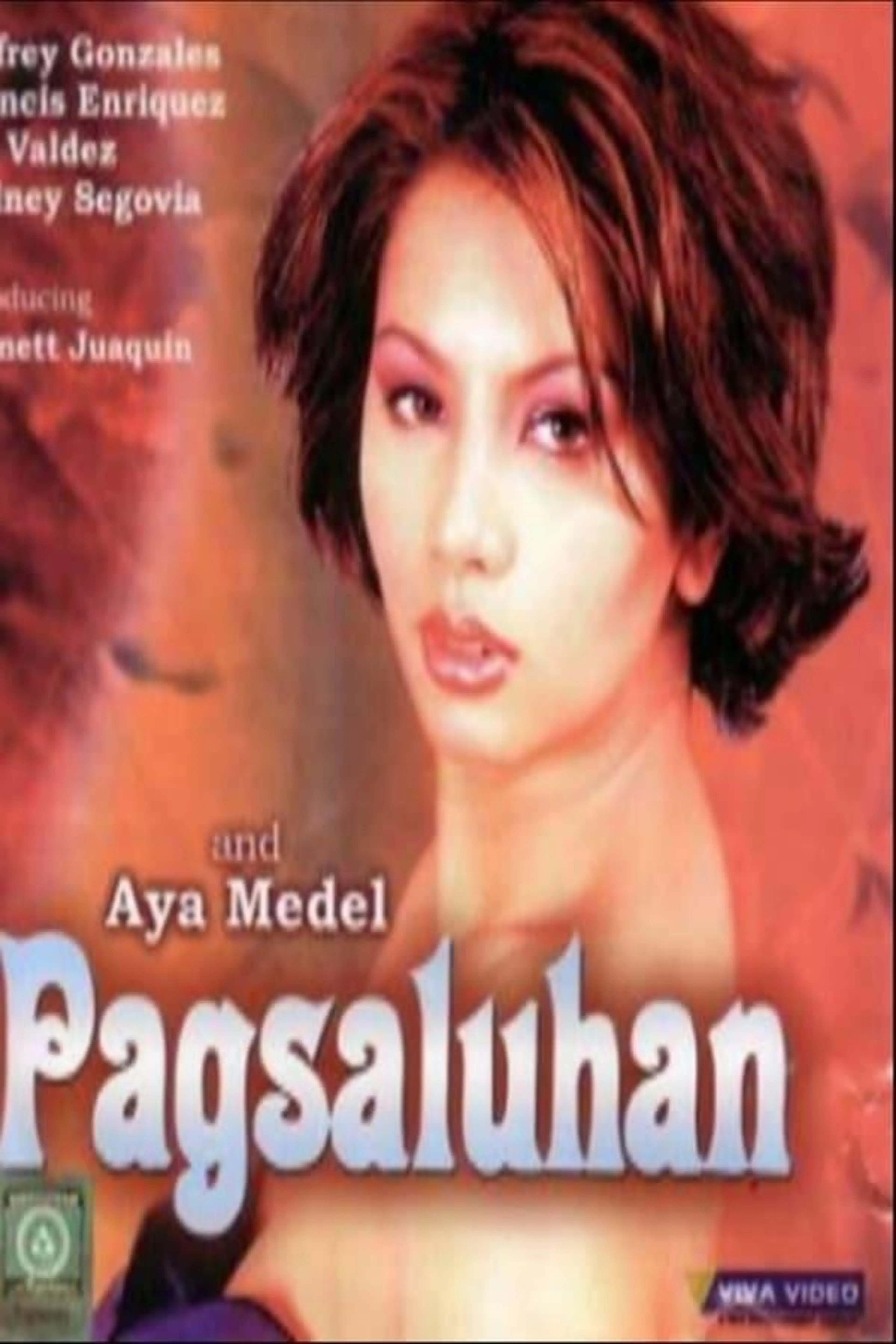 Pagsaluhan