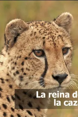 La reina de la caza