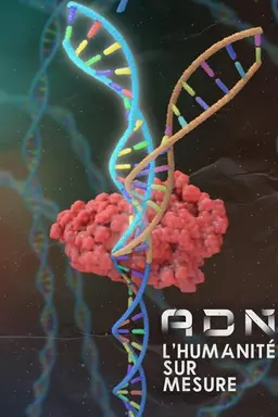 DNA: Custom Humanity