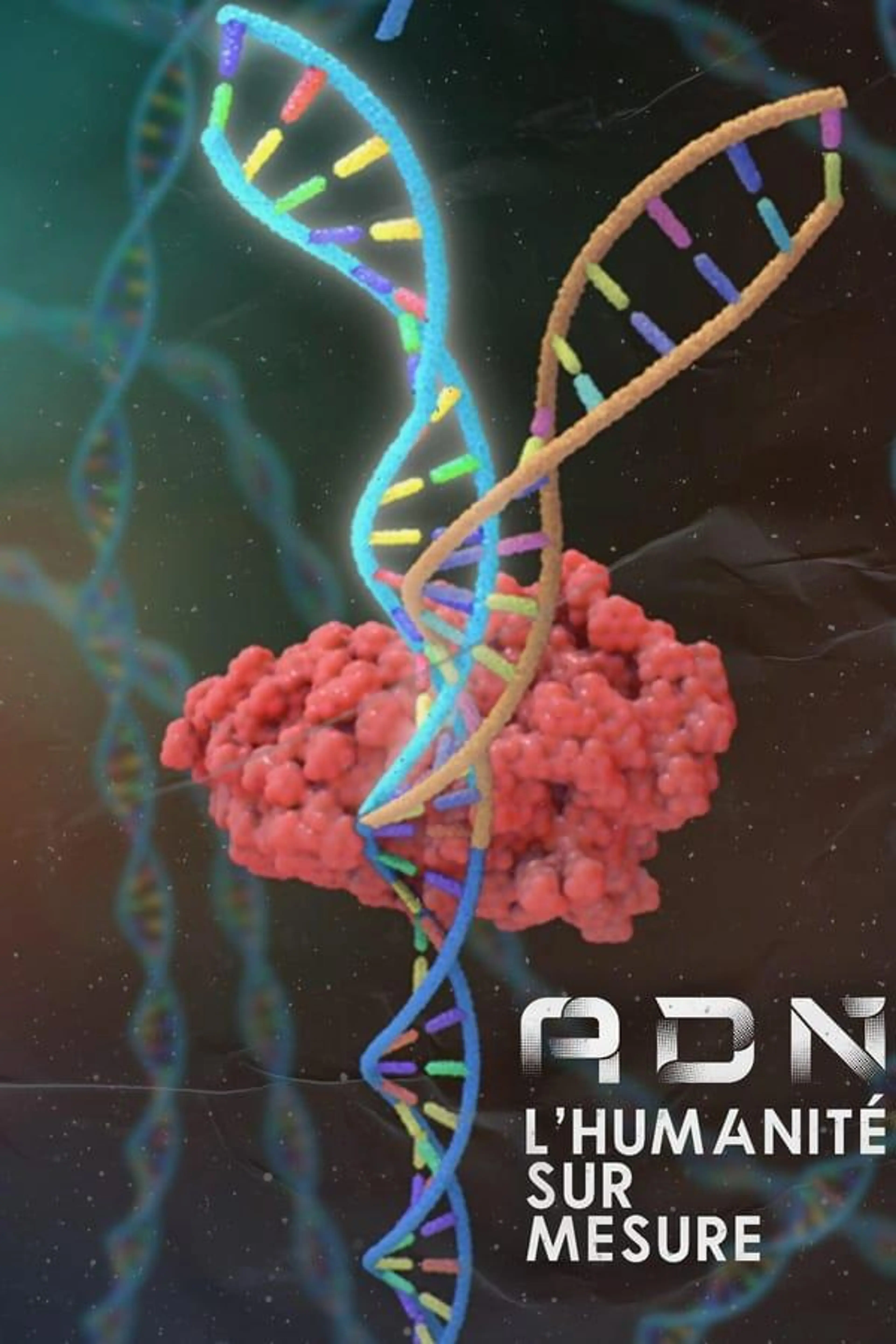 DNA: Custom Humanity