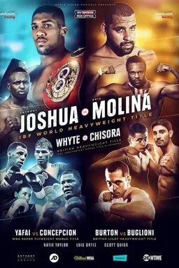 Dillian Whyte vs. Dereck Chisora