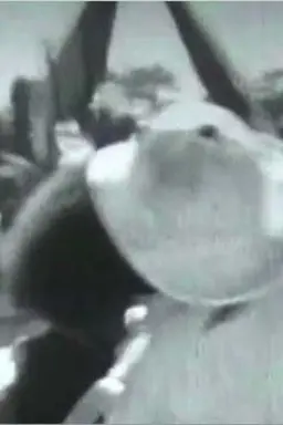 Five minutes with Ruy Guerra | The Mozambique Archive Series