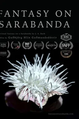 Fantasy on Sarabanda