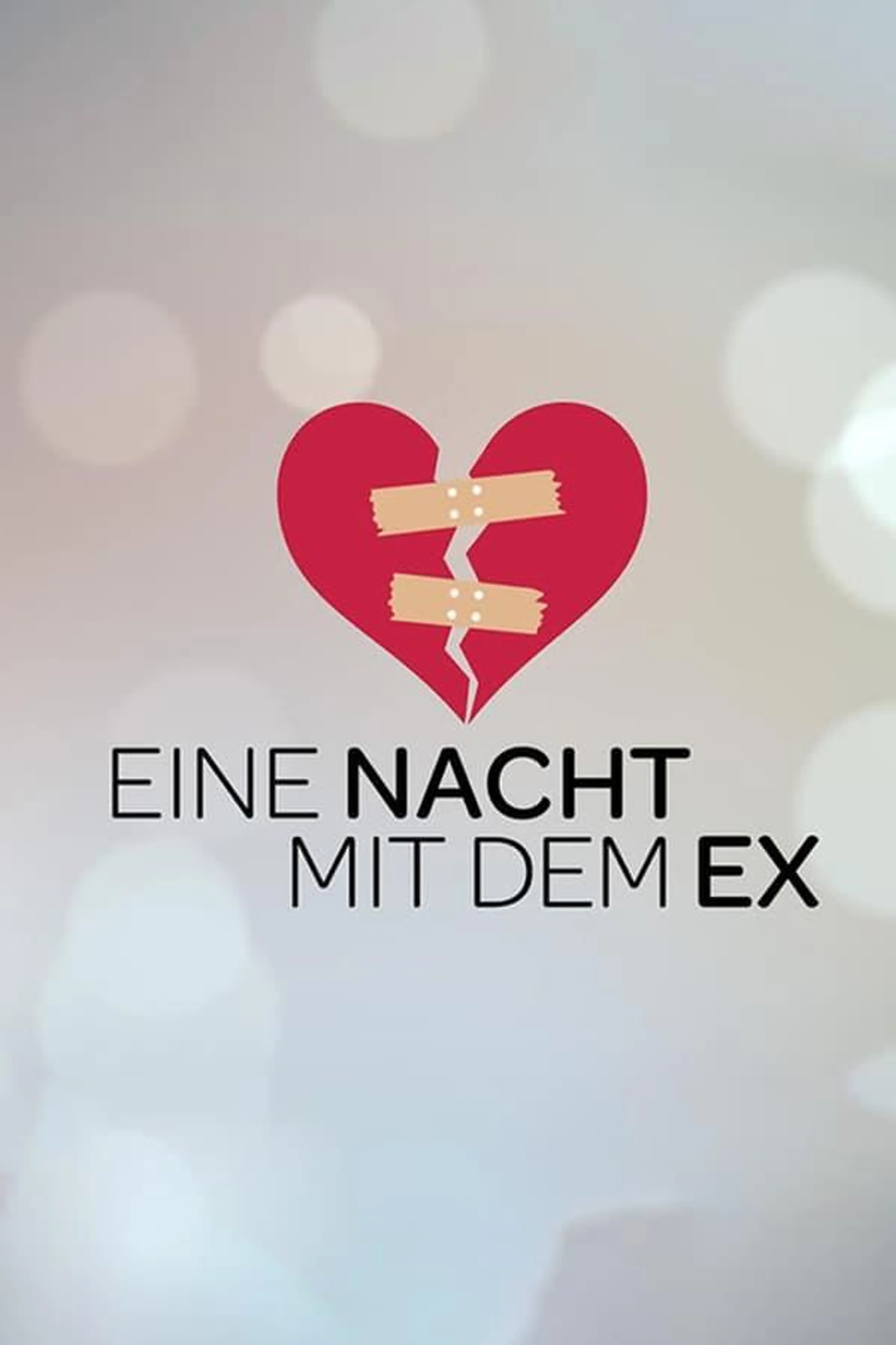 Eine Nacht mit dem Ex Season 1