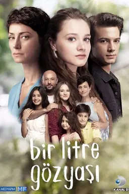 One Liter Tear Season 1