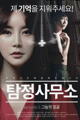 Detective Agency: Face of the Gnome