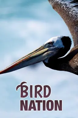 Bird Nation