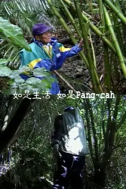 As Life, As Pangcah