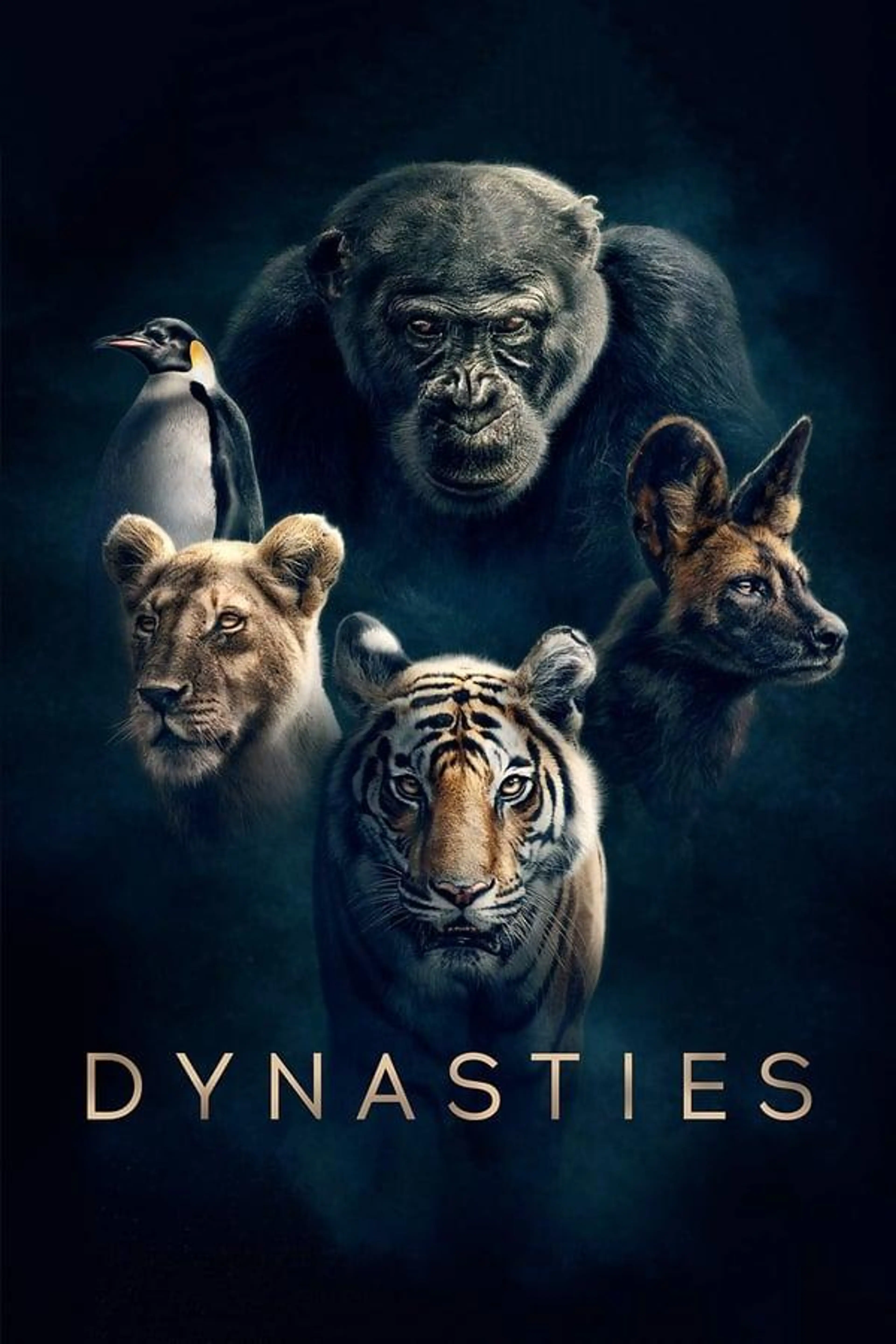 Dynasties Specials