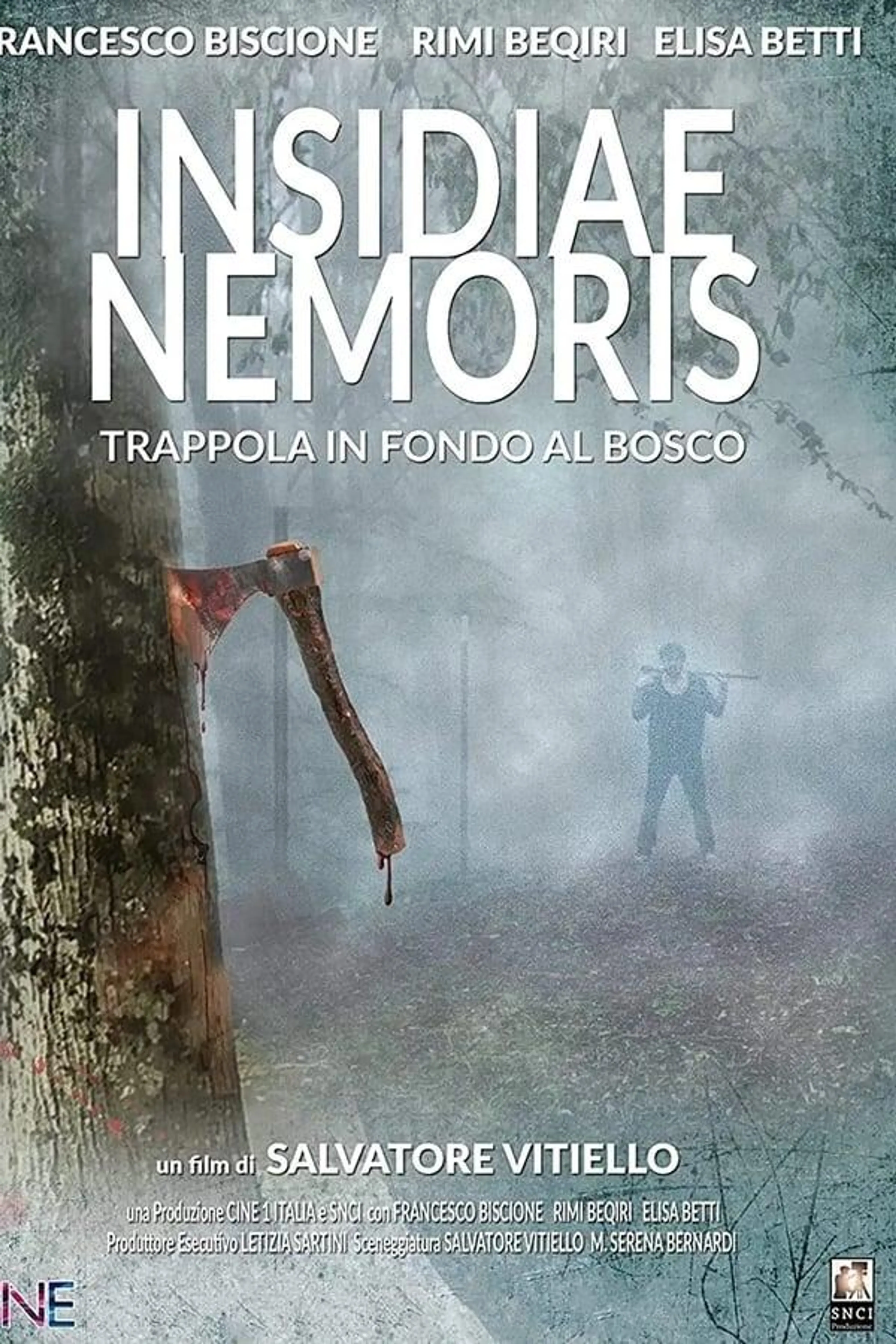 Insidiae Nemoris
