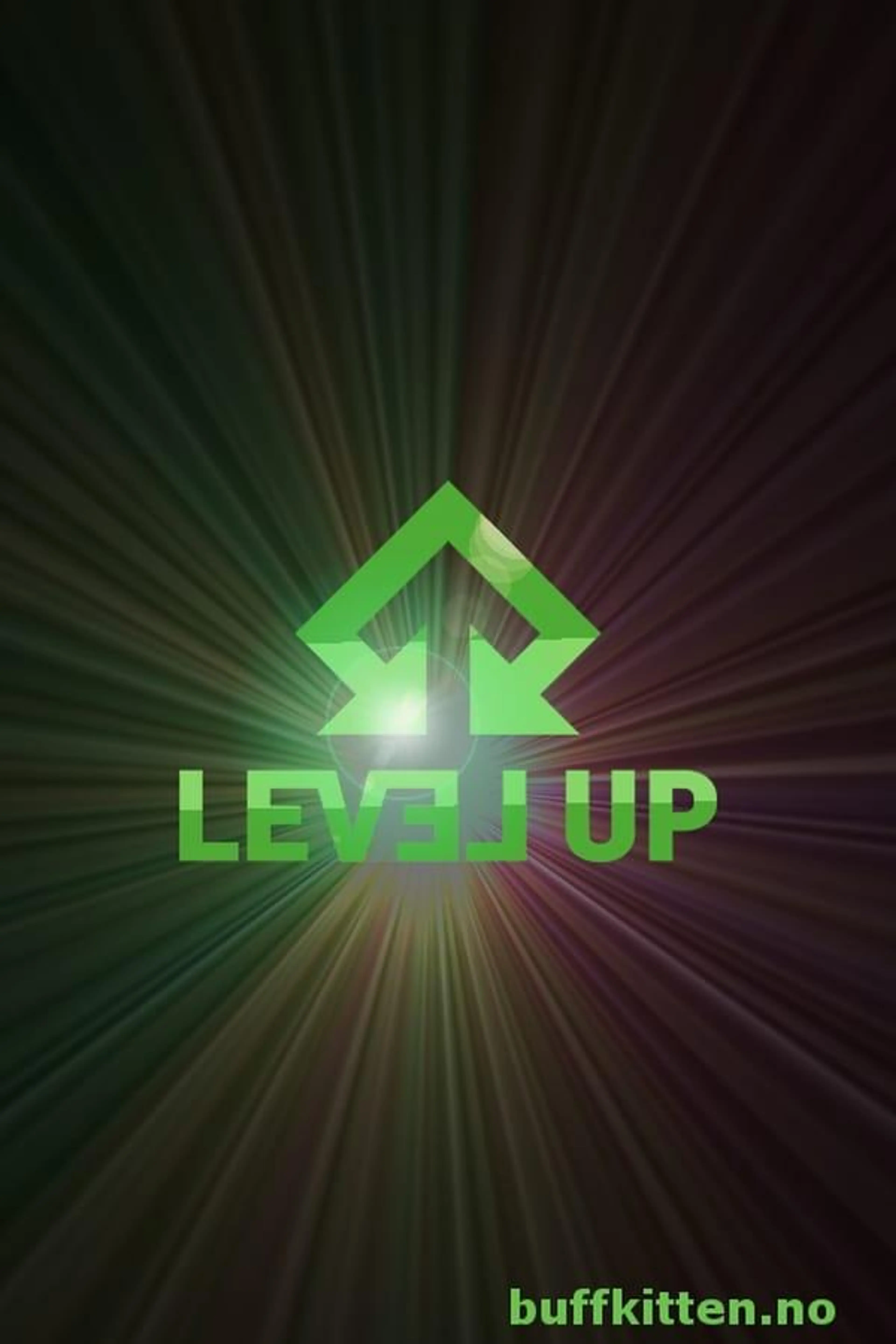 Level Up Norge Season 1