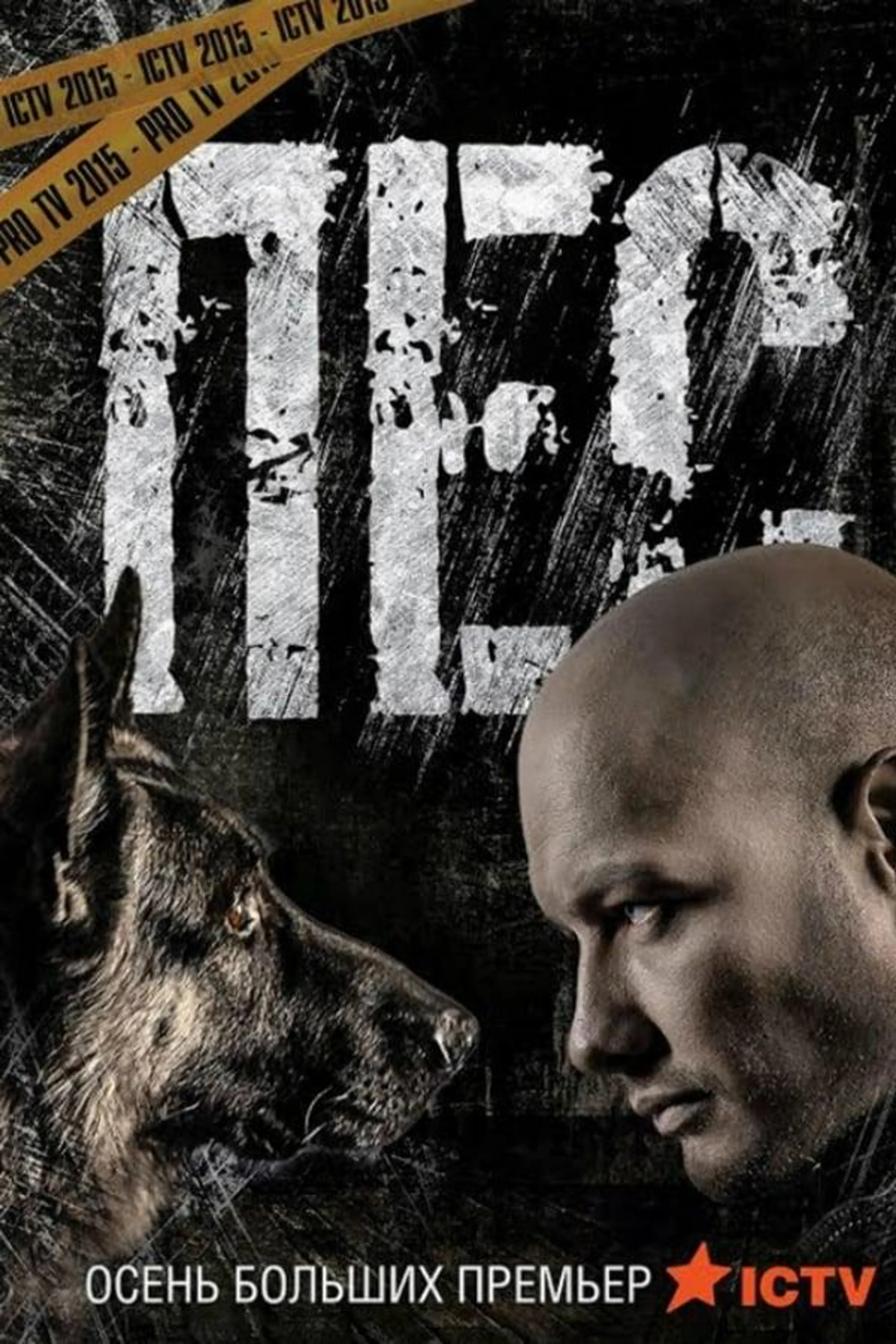 Dog Season 2