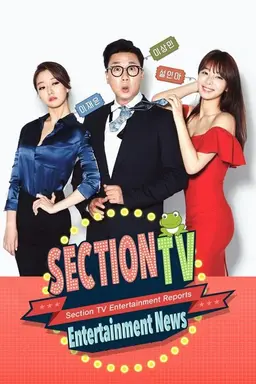 Section TV Season 1