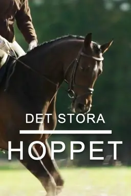 Det stora hoppet Season 1