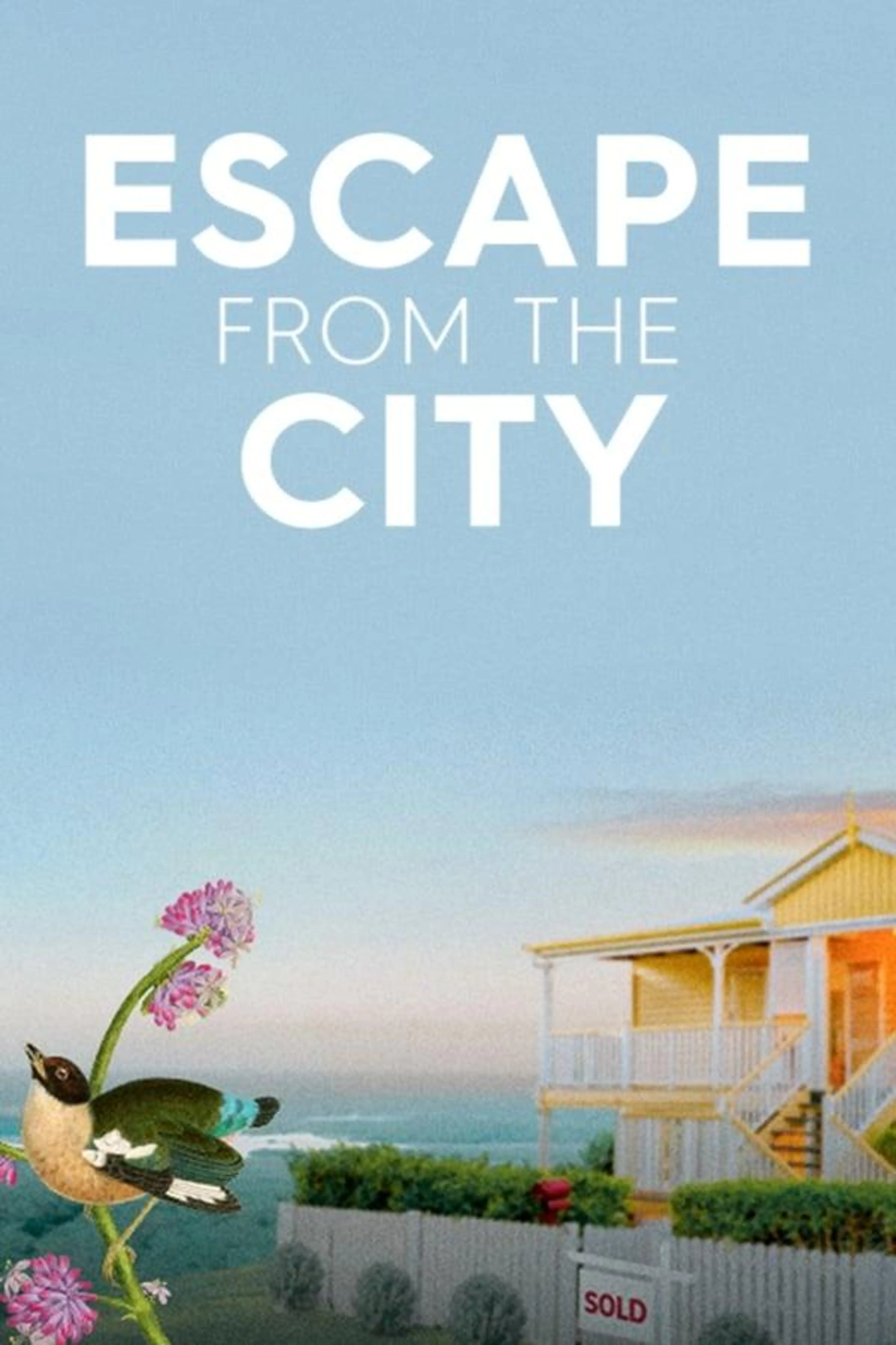 Escape from the City Season 1