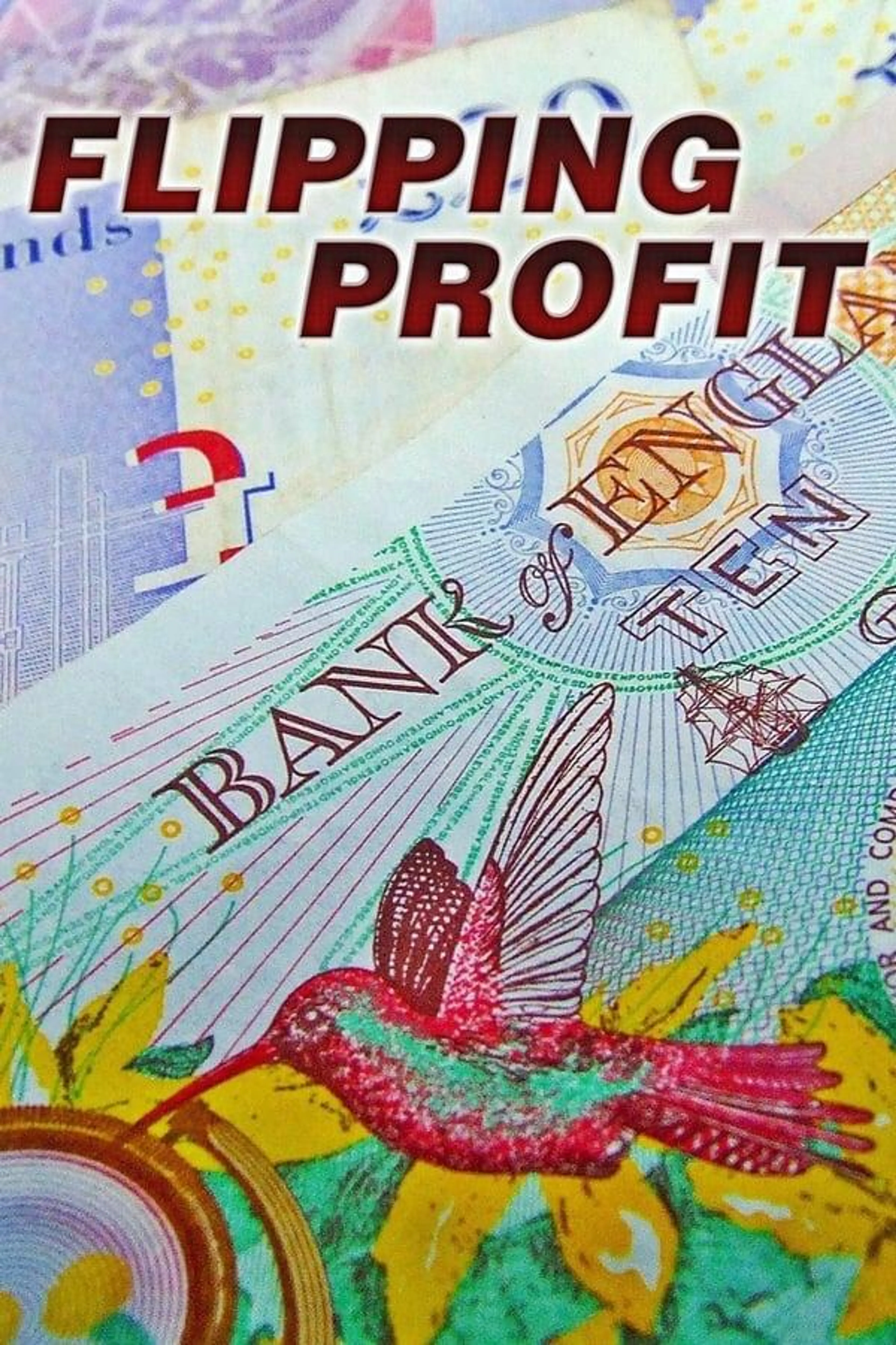 Flipping Profit Season 1