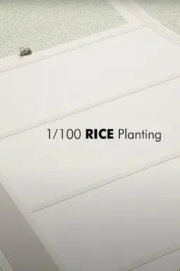 1/100 RICE Planting