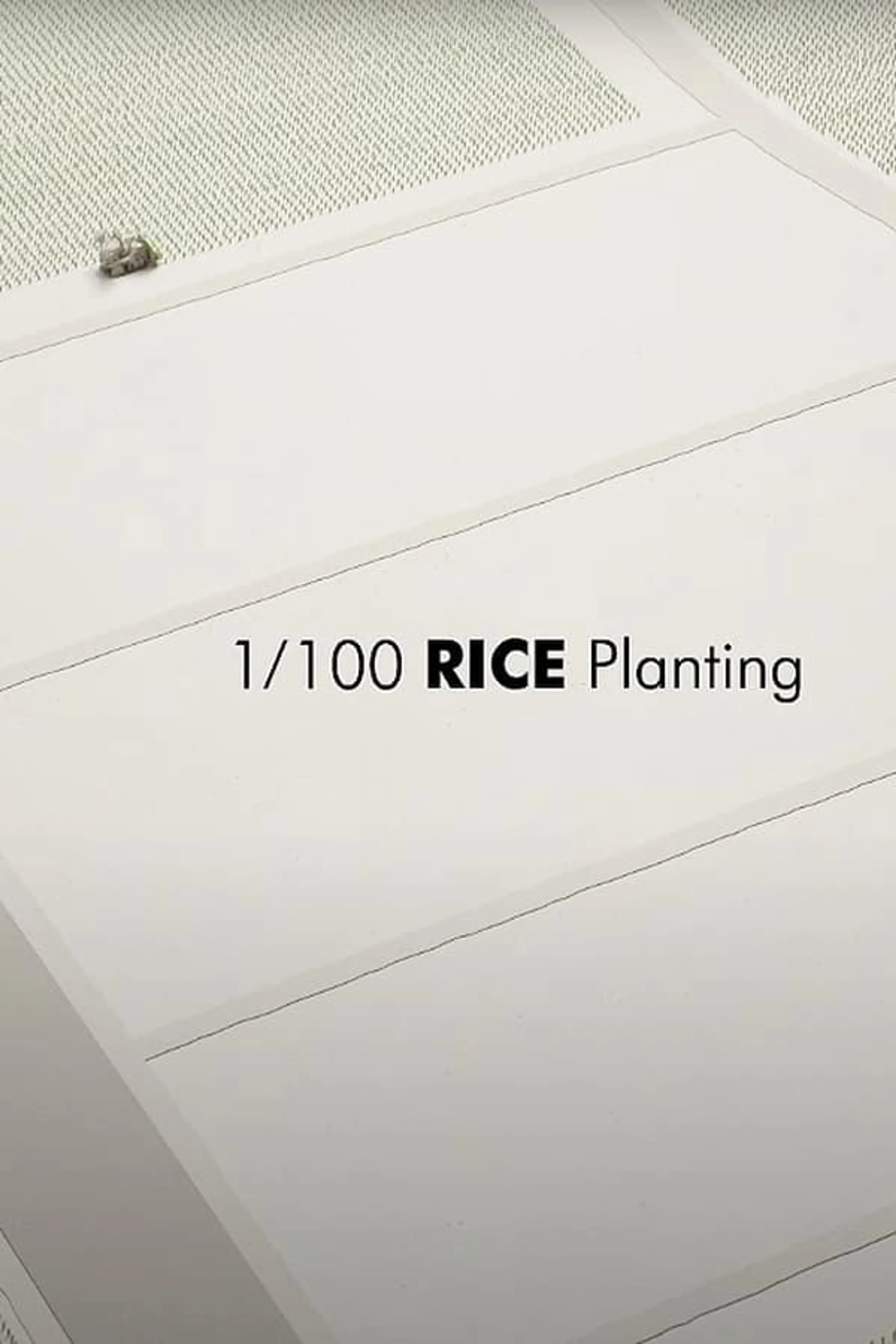 1/100 RICE Planting