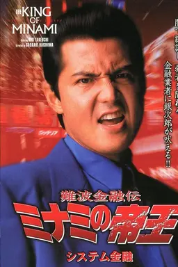 The King of Minami: System Finance