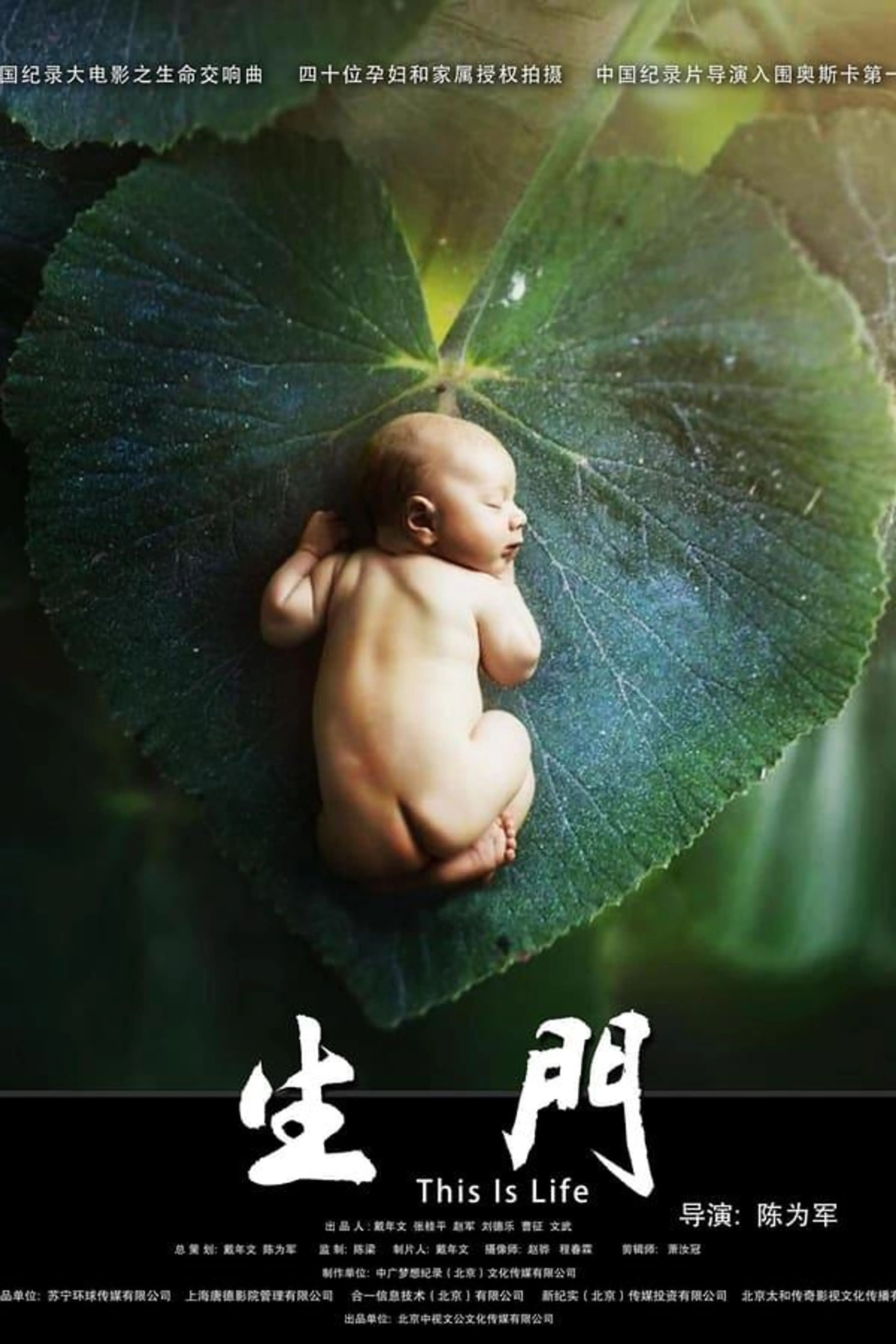 This is Life Season 1