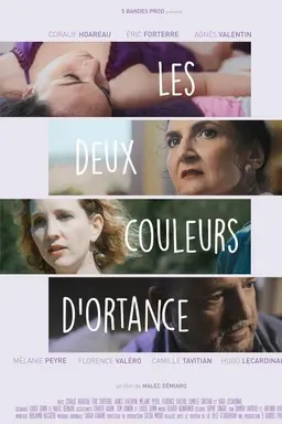 Les deux couleurs d'Ortance