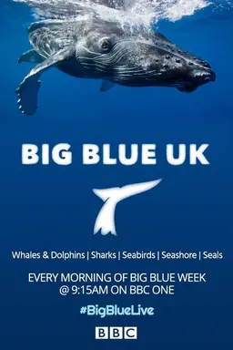 Big Blue UK Season 1