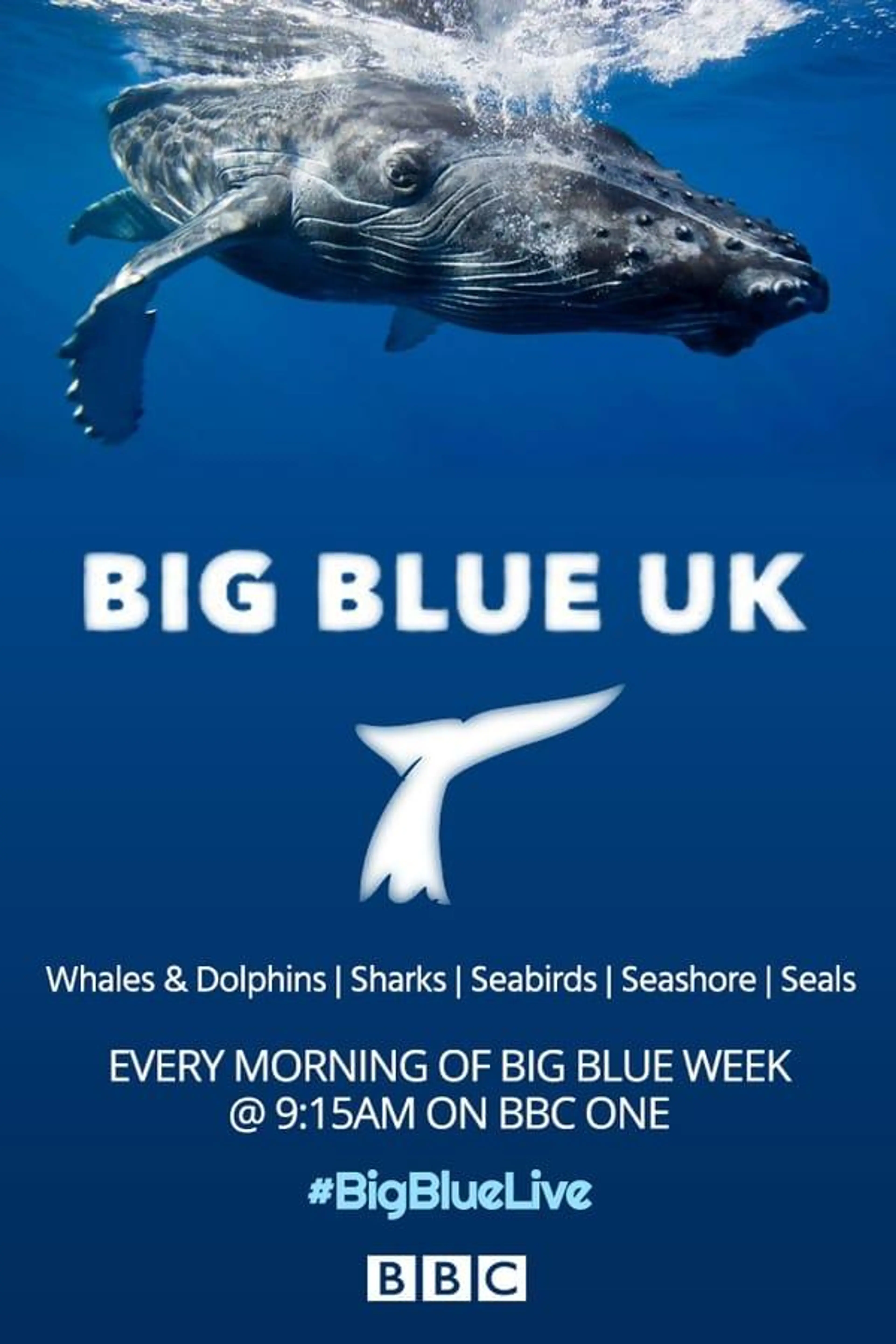 Big Blue UK Season 1